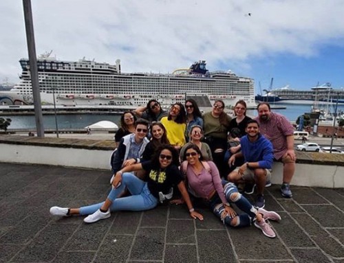 Cruise to Credits article by FIU Online